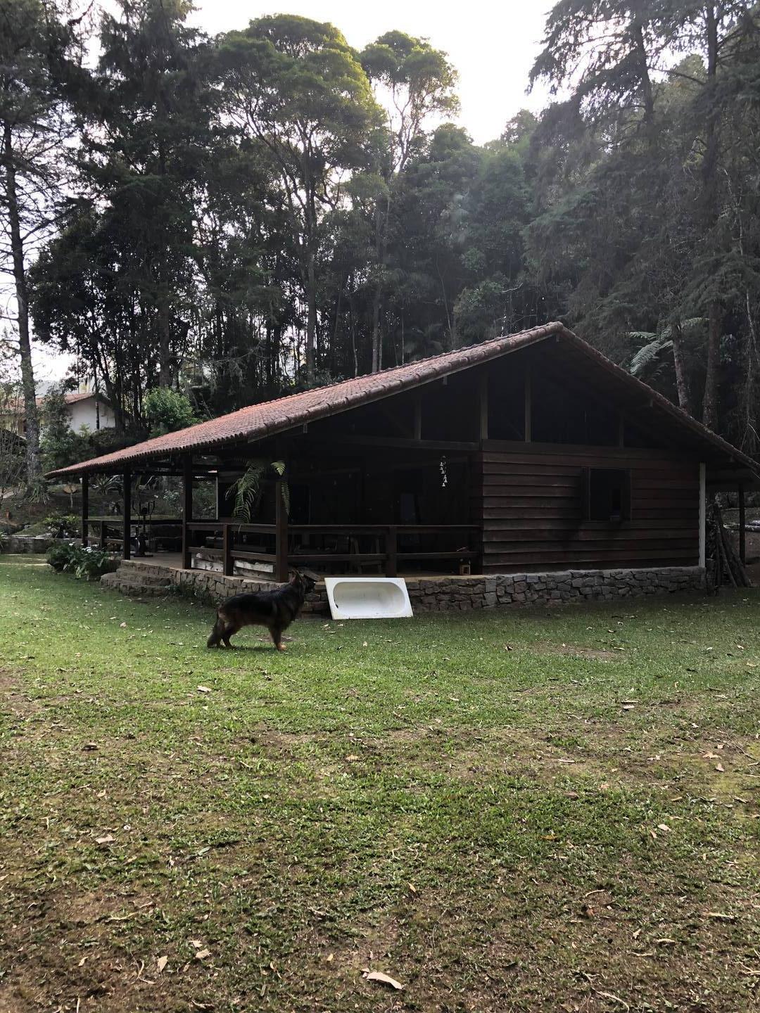 Terreno, 180 hectares - Foto 5