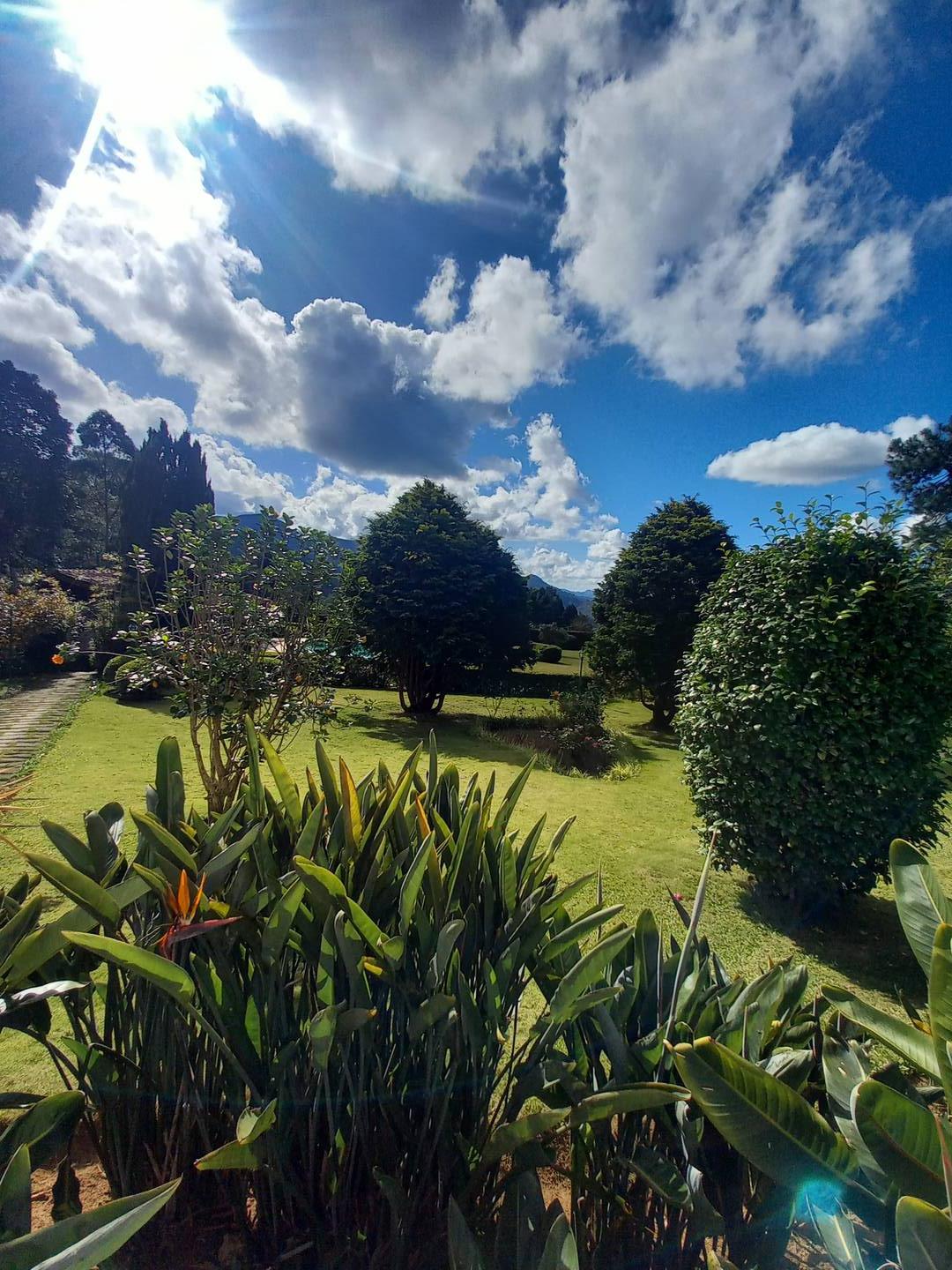 Casa, 6 quartos - Foto 5