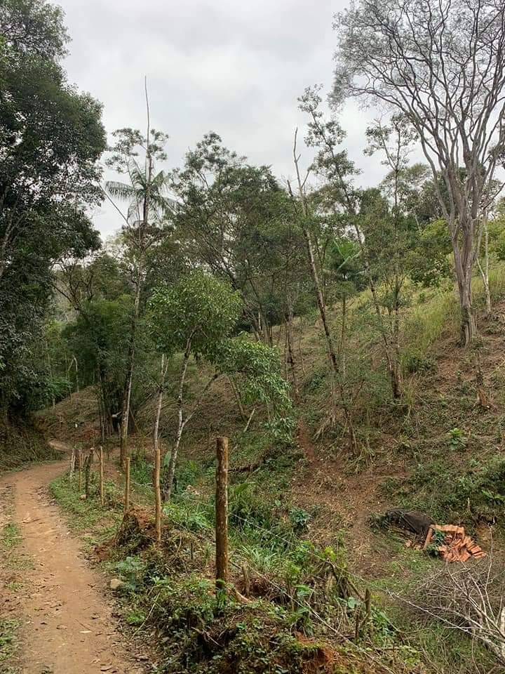 Sítio, 3 quartos, 8 hectares - Foto 4