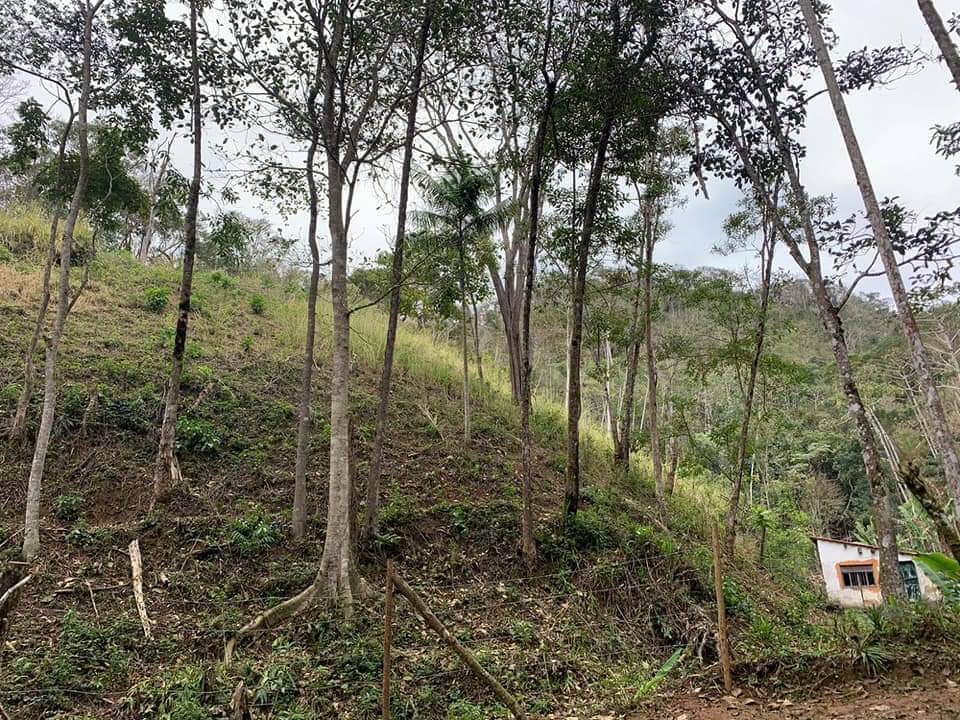 Sítio, 3 quartos, 8 hectares - Foto 8