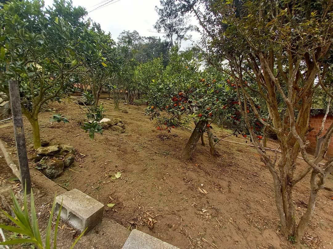 Casa, 3 quartos - Foto 9