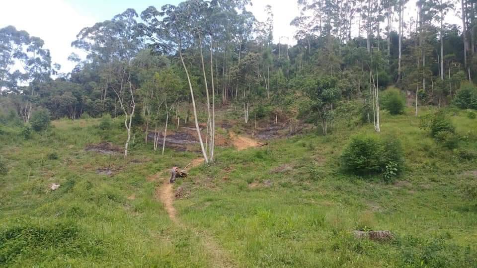 Terreno, 2 hectares - Foto 4