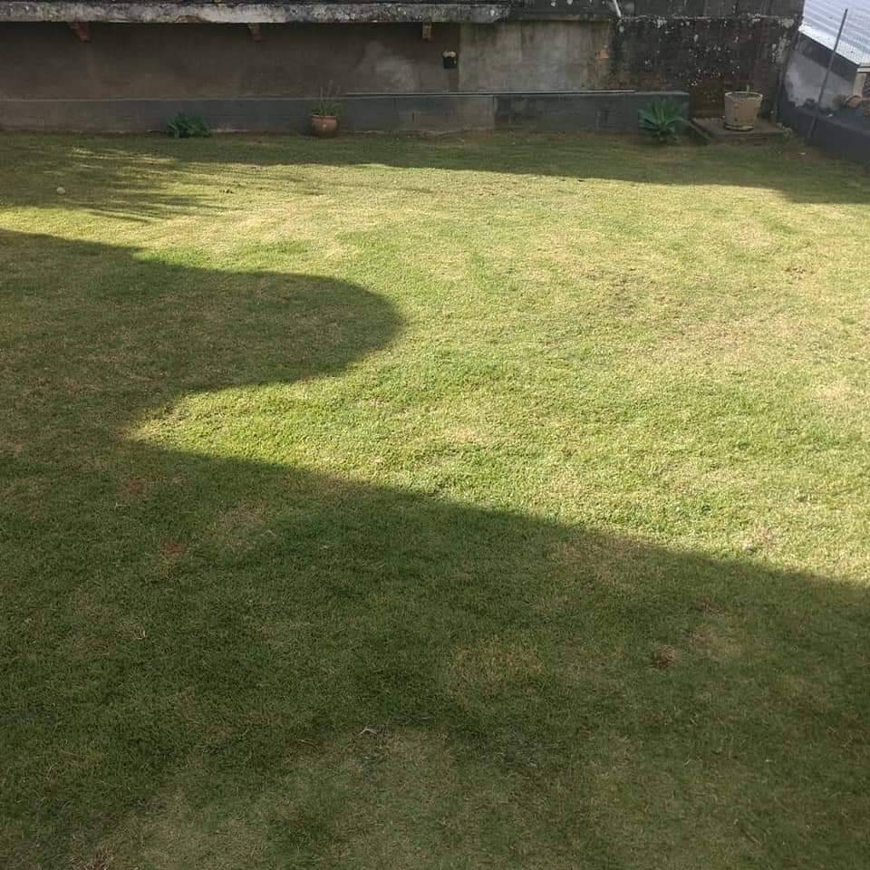 Casa, 4 quartos - Foto 1