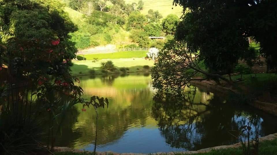 Terreno, 5 hectares - Foto 7
