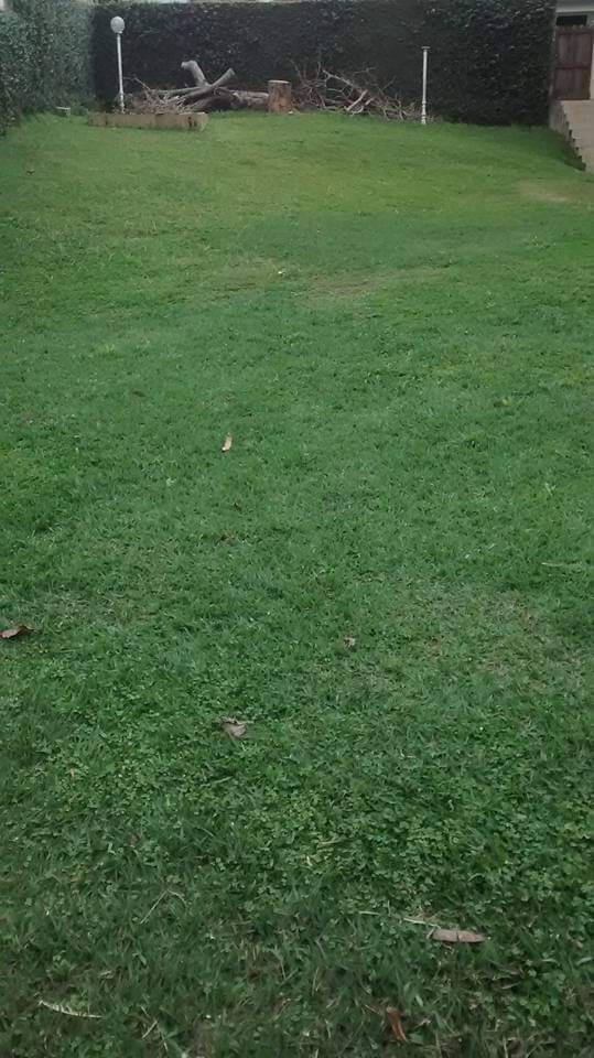 Casa, 4 quartos - Foto 1