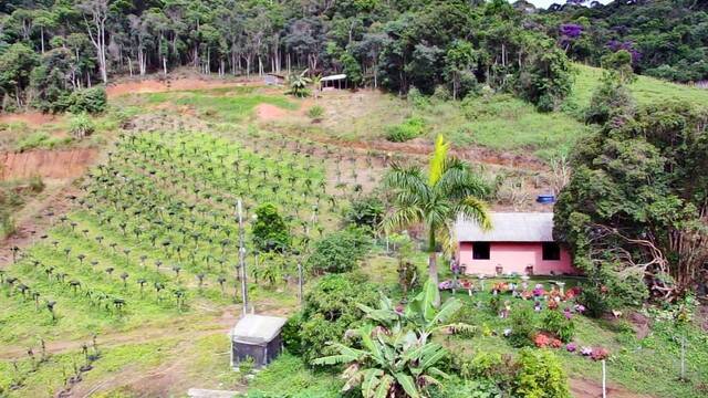 Sítio, 3 quartos, 2 hectares - Foto 5