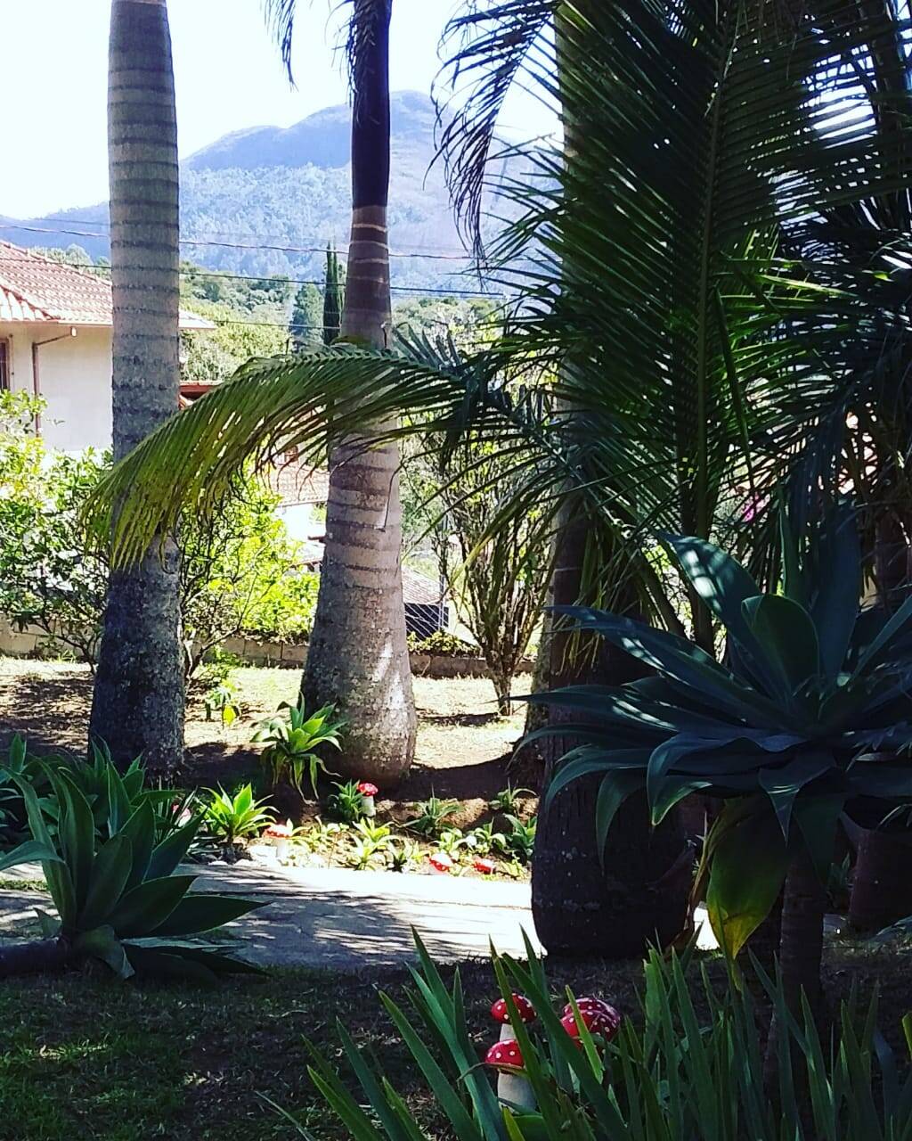 Casa, 4 quartos, 300002 m² - Foto 5