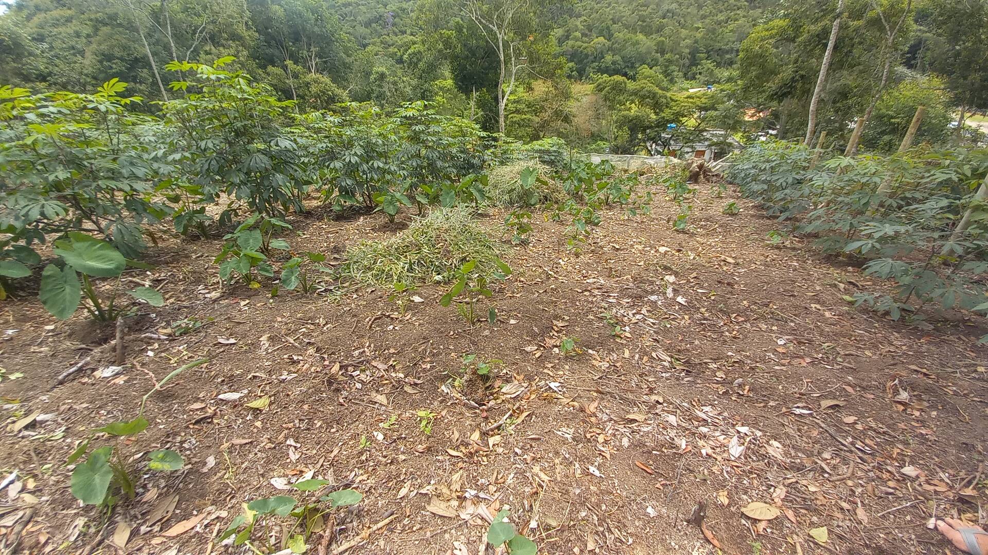 Terreno, 900 m² - Foto 3