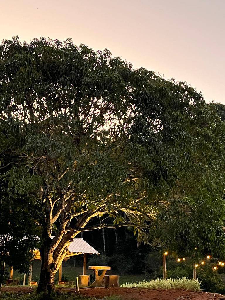 Sítio, 3 quartos, 8 hectares - Foto 4