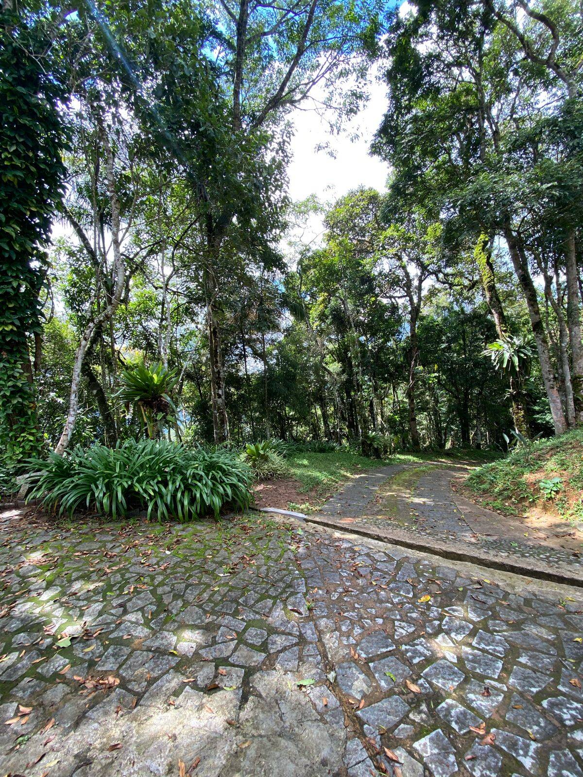 Sítio, 4 quartos, 25 hectares - Foto 21