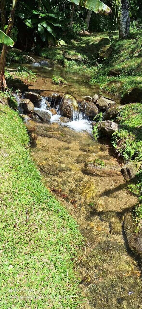 Terreno, 5 hectares - Foto 1