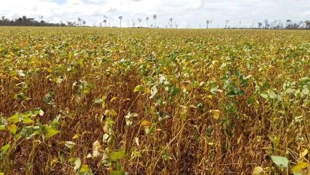 Terreno, 1500 m² - Foto 2