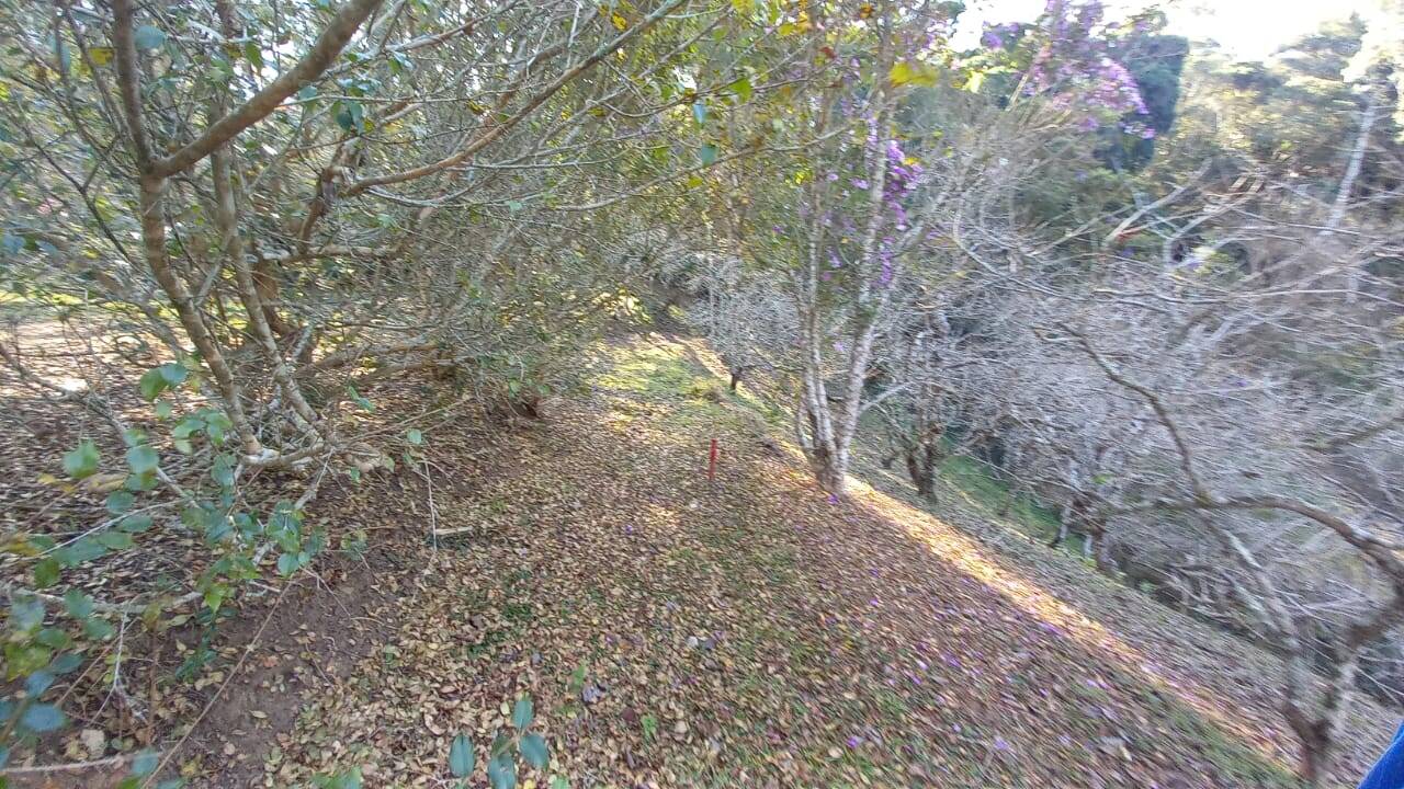 Sítio, 4 quartos, 2 hectares - Foto 13