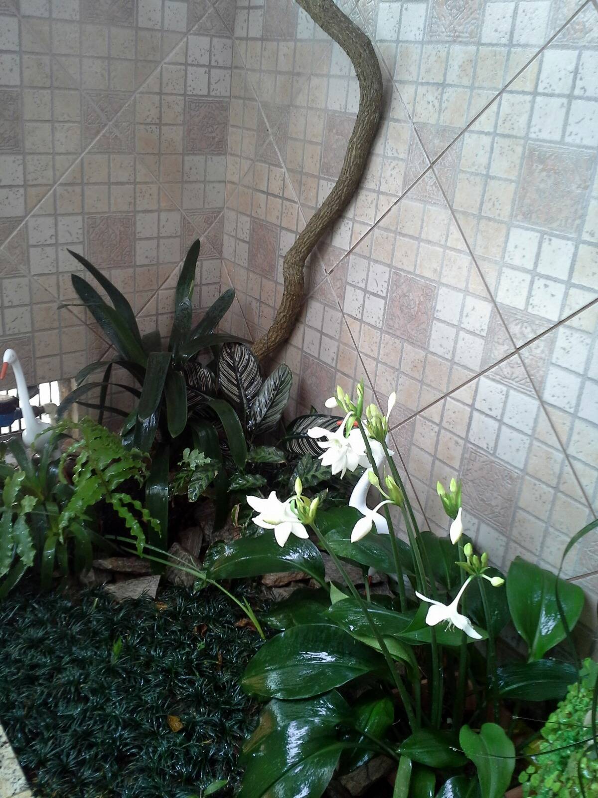 Casa, 2 quartos - Foto 13