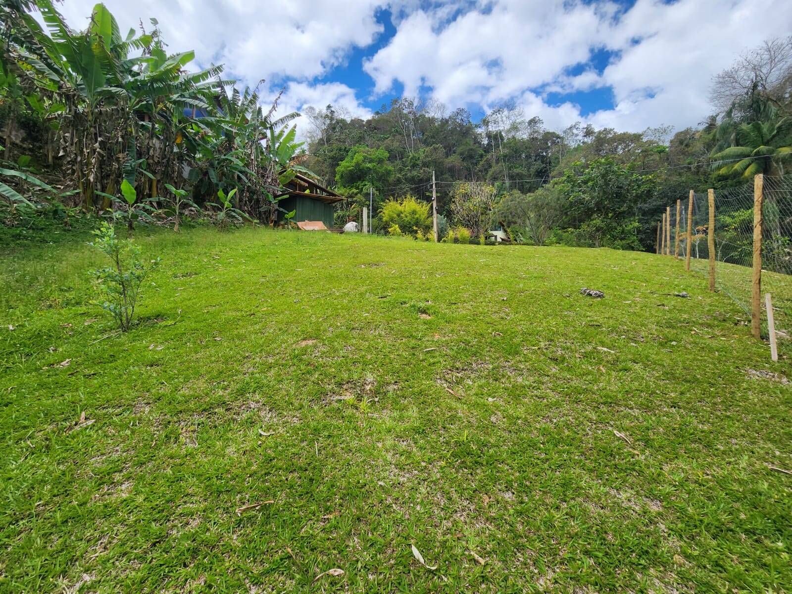 Terreno, 50 hectares - Foto 1