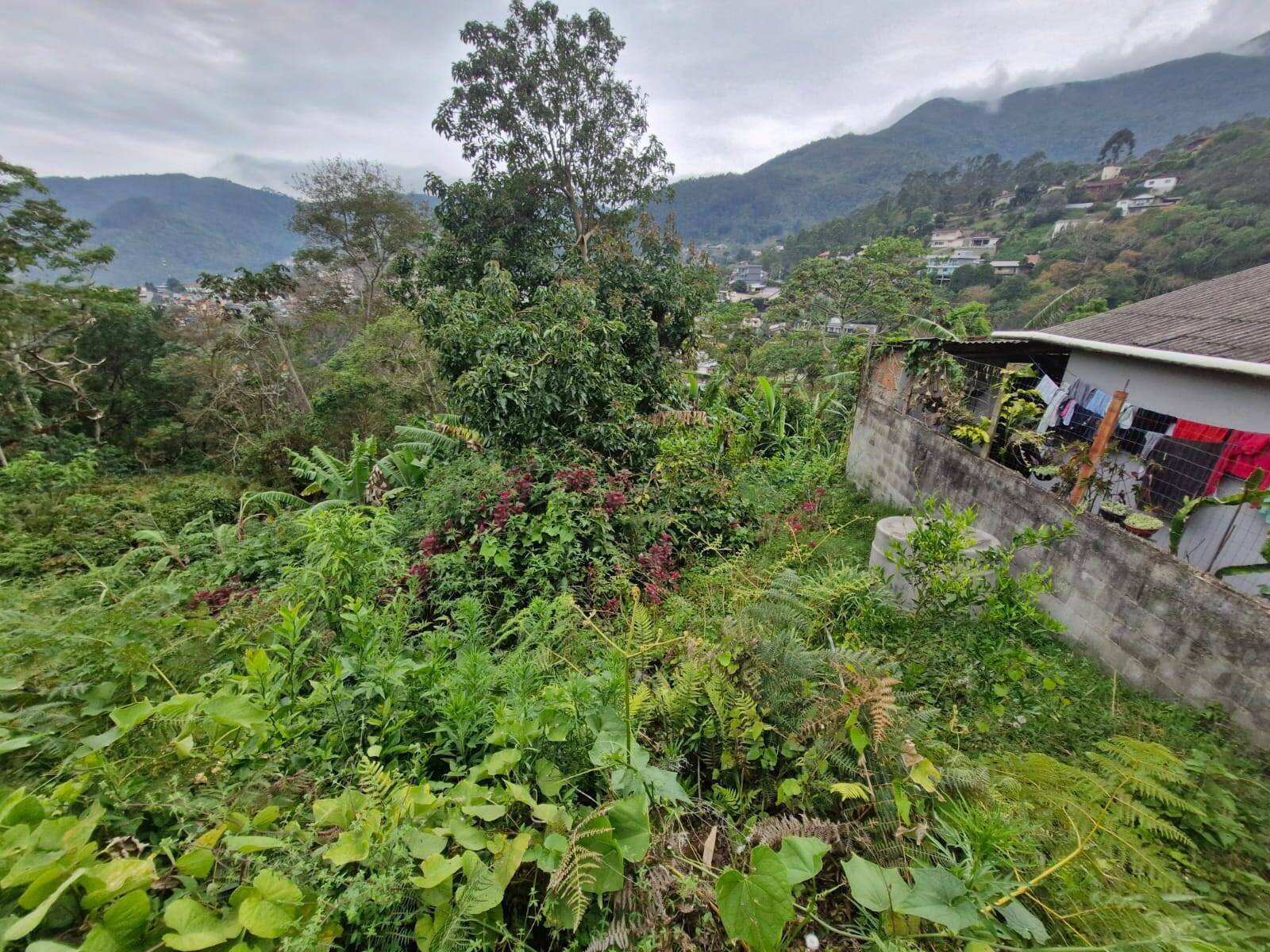 Terreno, 7380 m² - Foto 1