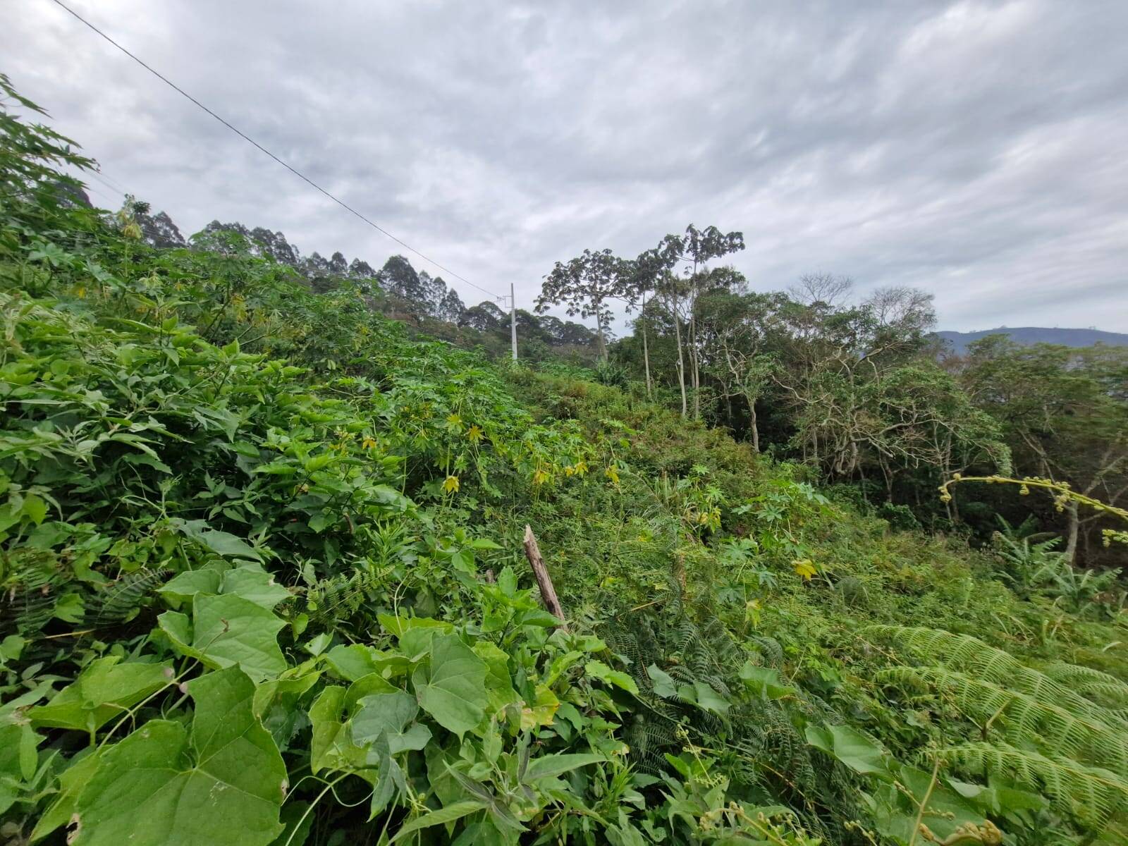 Terreno, 7380 m² - Foto 2