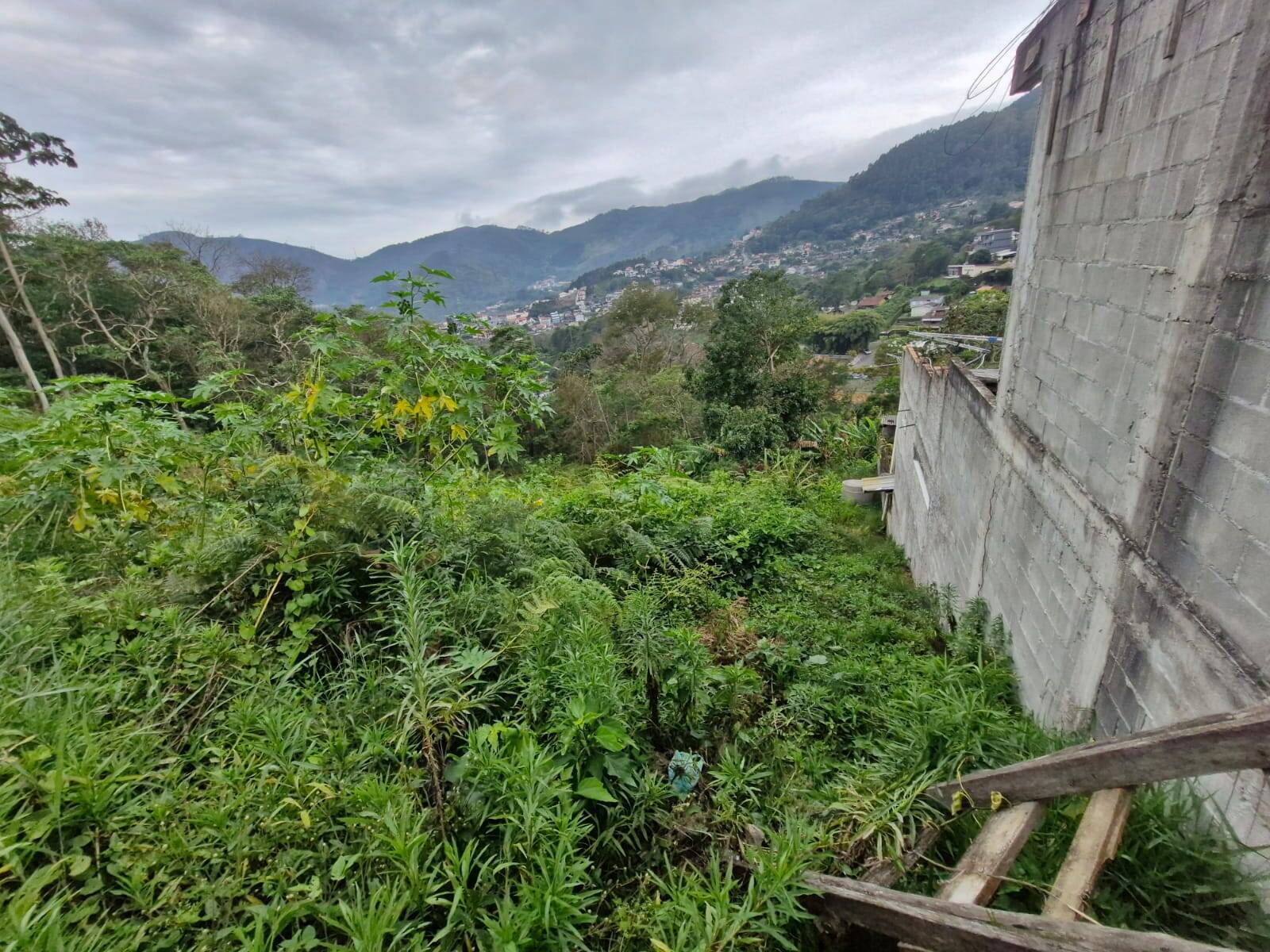 Terreno, 7380 m² - Foto 5