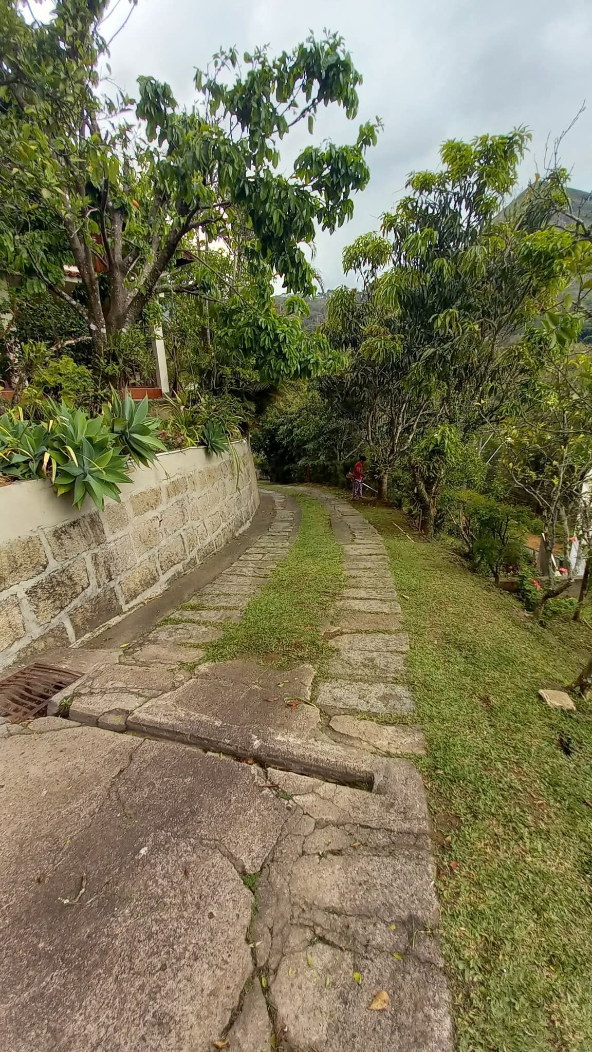 Casa, 4 quartos - Foto 2