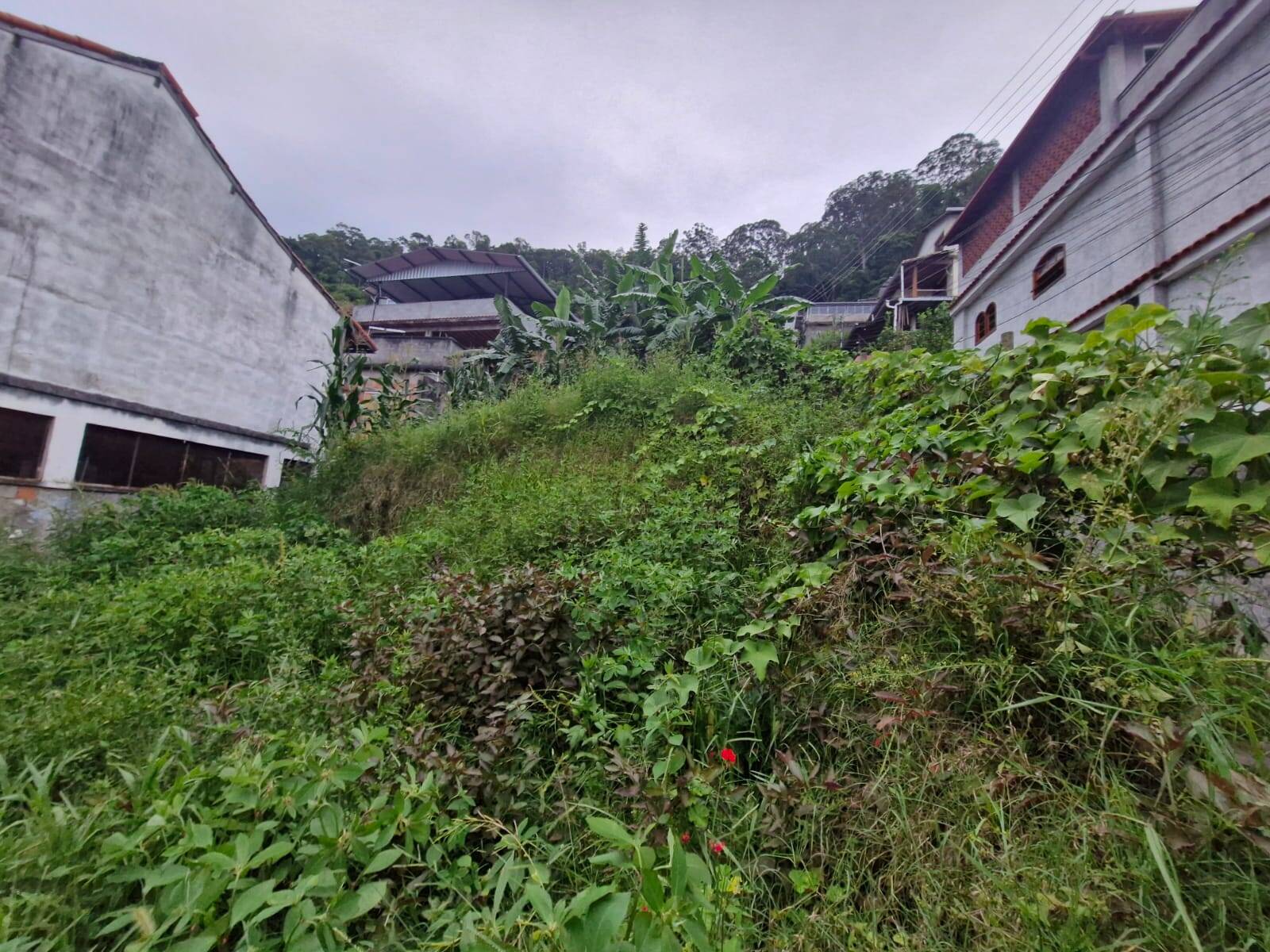 Terreno, 500 m² - Foto 1