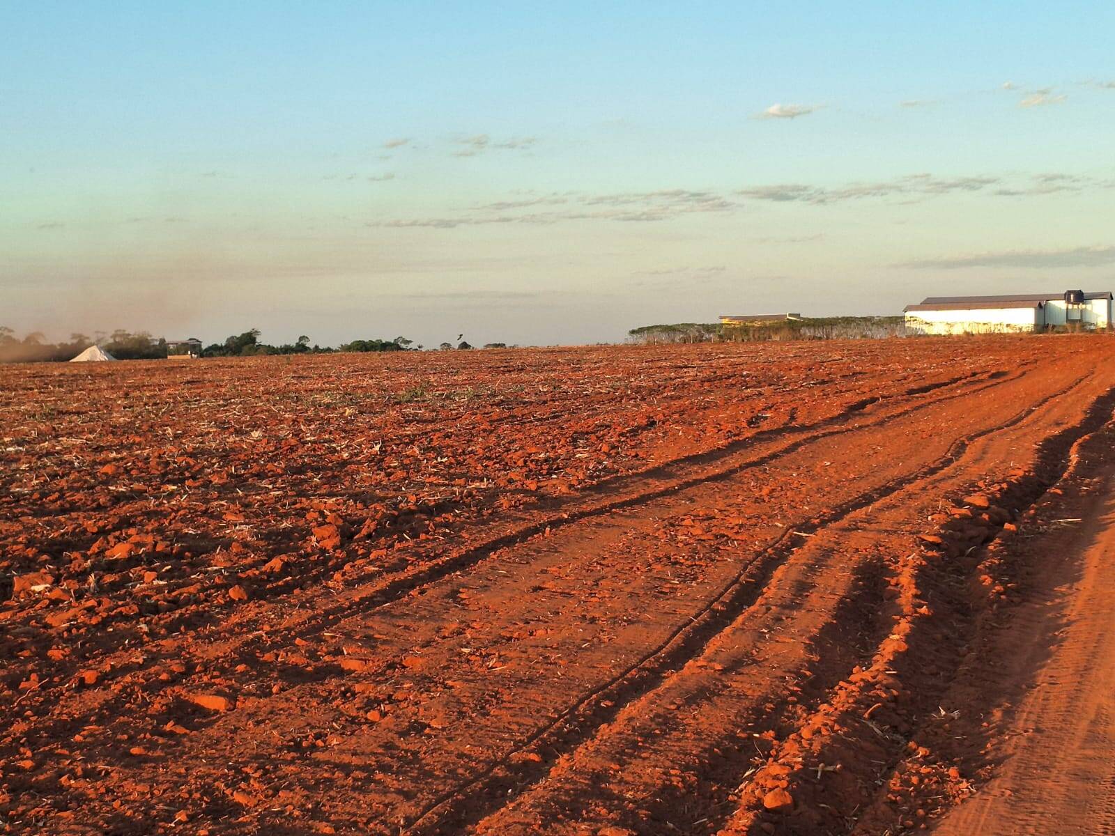 Terreno - Foto 4