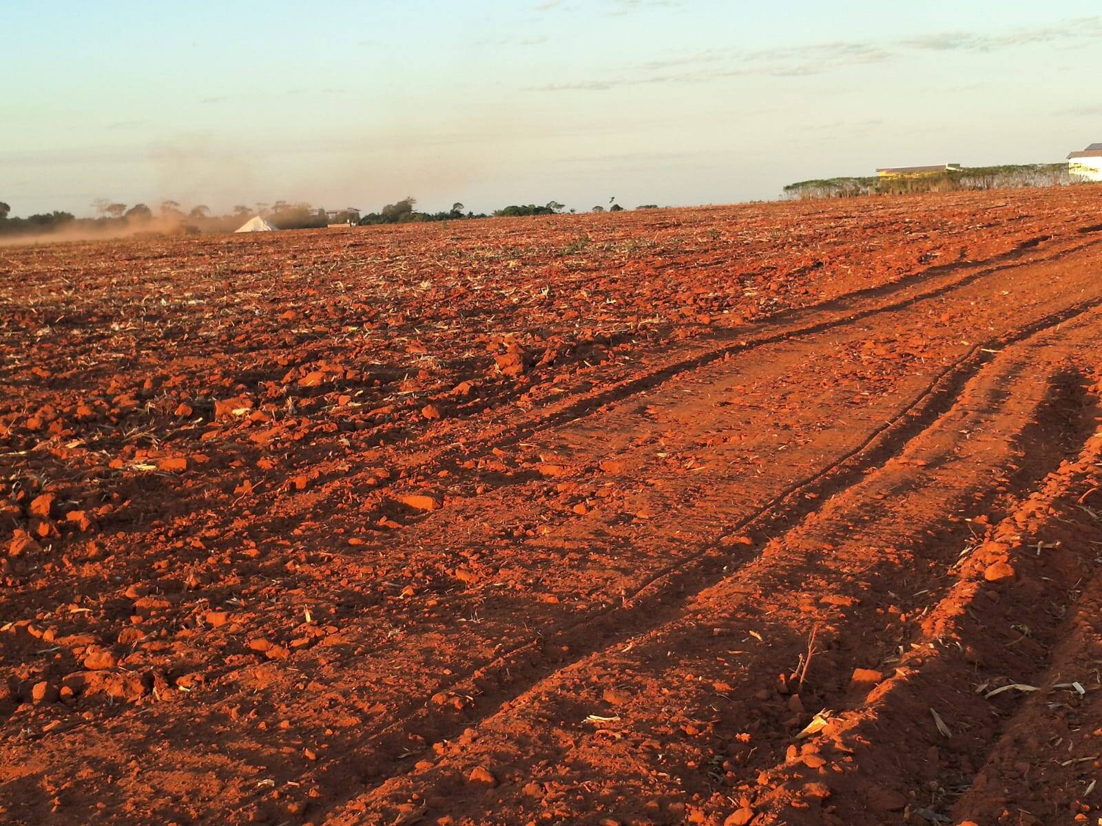 Terreno - Foto 6