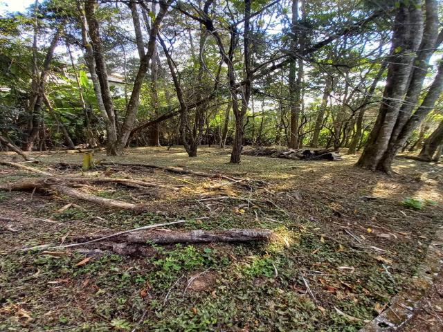 Casa para Venda em Nova Friburgo - 3