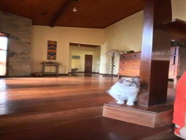 Casa para Venda em Nova Friburgo - 3