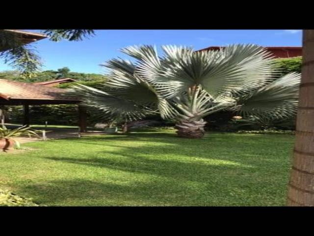 Casa para Venda em Nova Friburgo - 3