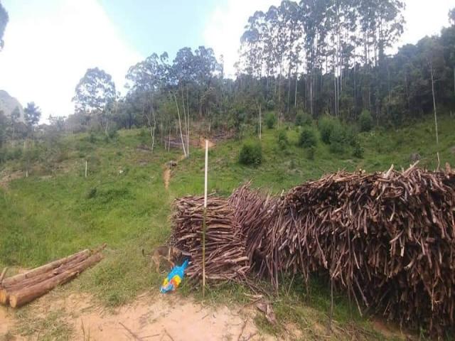 Área para Venda em Nova Friburgo - 2