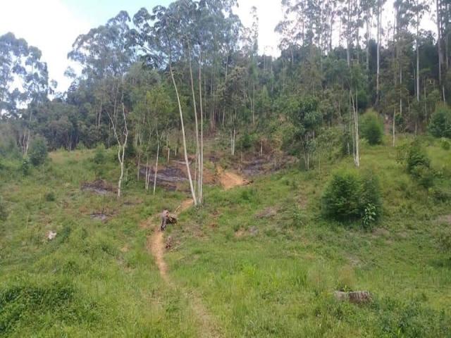 Área para Venda em Nova Friburgo - 4