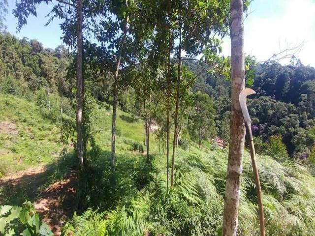 Área para Venda em Nova Friburgo - 3