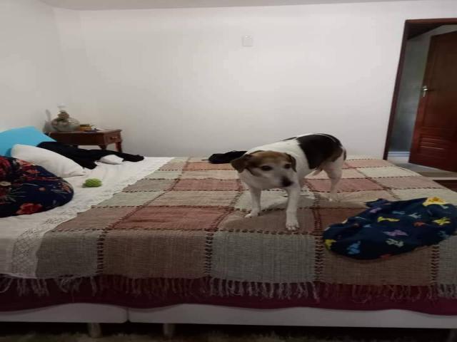 Casa para Venda em Nova Friburgo - 4