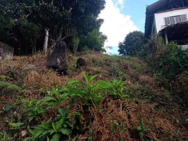 Casa para Venda em Nova Friburgo - 2