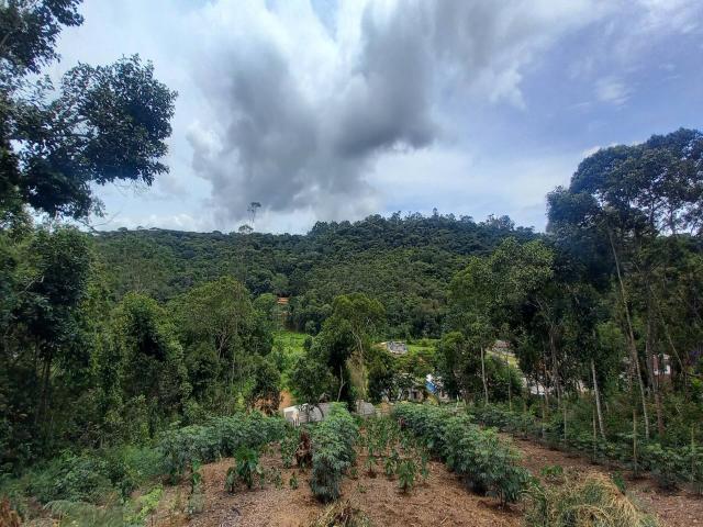 Área para Venda em Nova Friburgo - 2