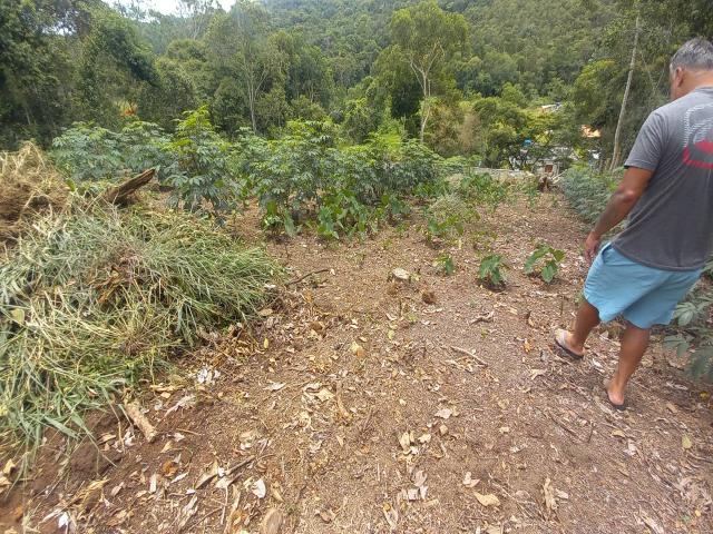 Área para Venda em Nova Friburgo - 4