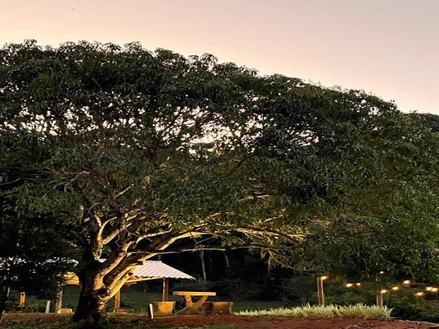 Sítio para Venda em Cantagalo - 4