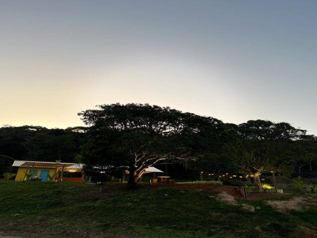 Sítio para Venda em Cantagalo - 3