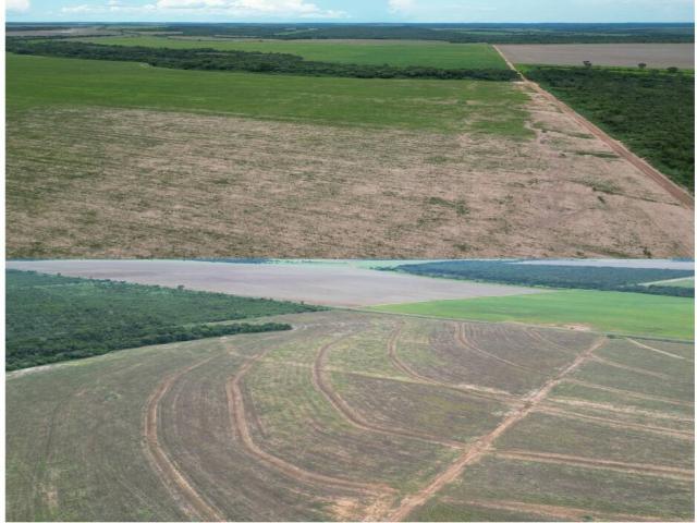 Fazenda para Venda em Ribeirão Cascalheira - 3