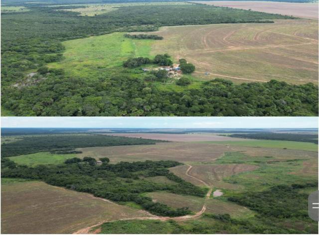 Fazenda para Venda em Ribeirão Cascalheira - 2