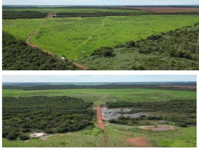 Fazenda para Venda em Água Boa - 2