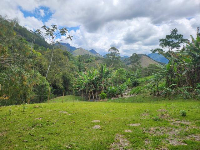 Área para Venda em Nova Friburgo - 4