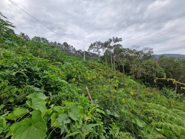 Área para Venda em Nova Friburgo - 2