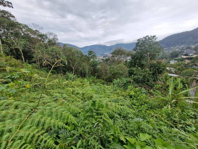 Área para Venda em Nova Friburgo - 3