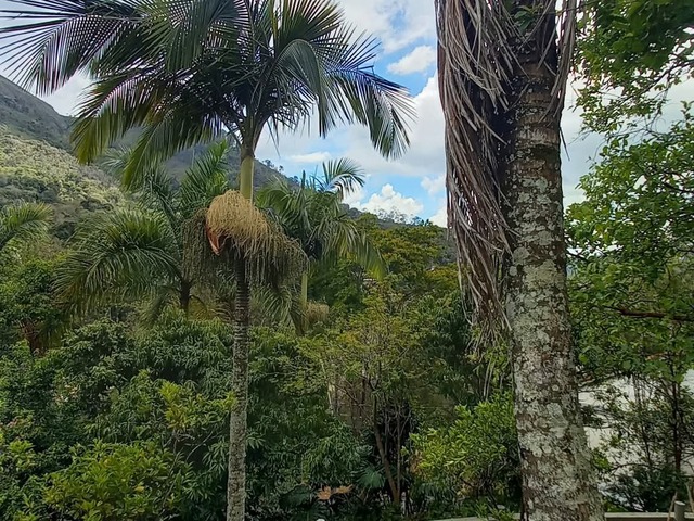 Casa para Venda em Nova Friburgo - 4