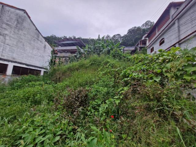 #322 - Área para Venda em Nova Friburgo - RJ