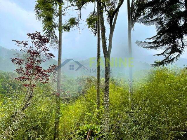 Casa para Venda em Nova Friburgo - 2
